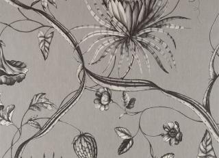 Фото - Обои Zoffany Phaedra - 313238>