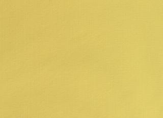 Фото - Ткани Dedar Razmir - 540975>