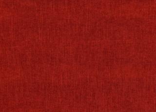 Фото - Ткани Jane Churchill Palma II - 539563>