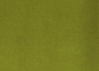 Фото - Ткани Foresti Home Collection Velluto di cotone Zeus - 563403>