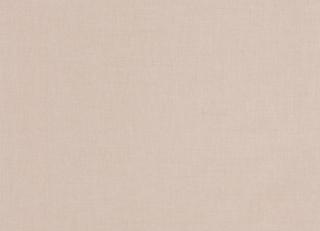 Фото - Обои Caselio La Foret - 522328>