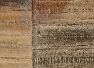 Фото - Обои Elitis Anguille Big croco Legend - 469464>