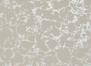 Фото - Обои Clarke&Clarke Botanica Wallcoverings - 362010>
