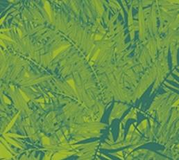 Фото - Обои Christian Lacroix Belles Rives - 200672>