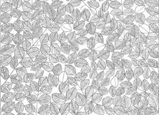 Фото - Обои BorasTapeter Scandinavian Designers II - 326979>