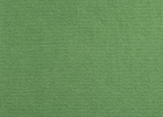 Фото - Ткани Antoine d'Albiousse Toile de Cocher - 480285>