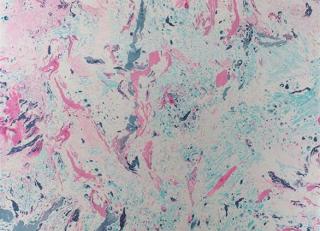 Фото - Обои Matthew Williamson Durbar - 304668>