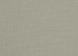 Фото - Ткани Clarke&Clarke Tussah & Seda - 362965>