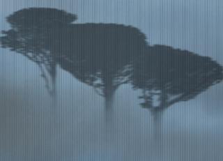 Фото - Обои Wall&Deco CODE 2020 CONTEMPORARY - 495206>