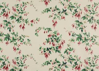 Фото - Ткани Colefax and Fowler Classic Prints II - 258424>