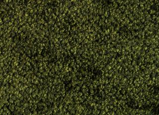 Фото - Ткани Elitis Bellezza - 557167>