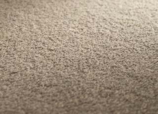 Фото - Ковры JAB Anstoetz Infinity - 574183>