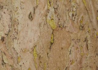 Фото - Обои Wallquest Natural Textures - 484916>