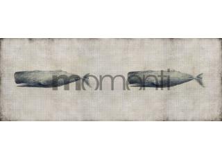 Фото - Обои Momenti Animal Collection - 317647>