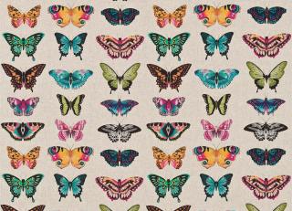 Фото - Ткани Harlequin Colour Fabrics - 515779>