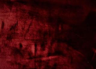 Фото - Ткани Gancedo Chiffun - 491170>