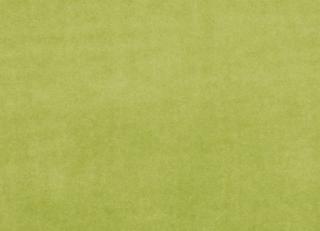 Фото - Ткани Clarke&Clarke Alvar - 295576>