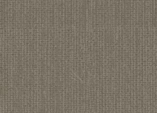 Фото - Обои Faboie Palm World - 621105>