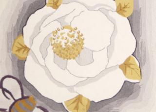 Фото - Ковры Ebru Infinity - 445354>