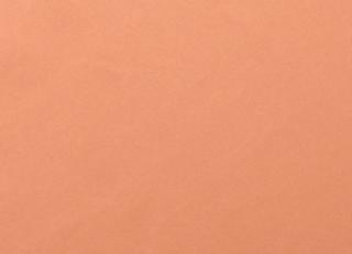 Фото - Ткани Houles Casanova - 332669>