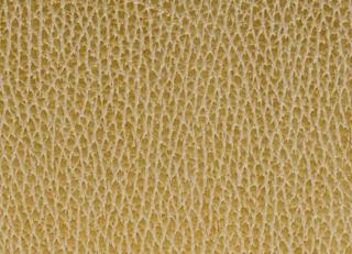 Фото - Аксессуары Pavoni Кожа Iceberg - 588832>