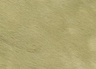 Фото - Аксессуары Pavoni Кожа Vitellina Pelo - 589031>