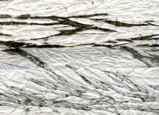 Фото - Обои Elitis Geisha - 258126>