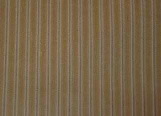 Фото - Ткани Foresti Home Collection Velluto a coste small - 563361>