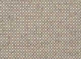 Фото - Ткани Clarke&Clarke Casanova - 295832>