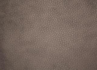 Фото - Ткани Alessandro Bini Eco leather - 438693>