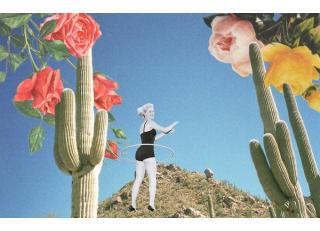 Фото - Обои Coordonne Random Papers - 343568>