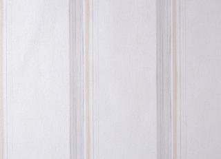 Фото - Обои Caselio Curiosity - 223613>