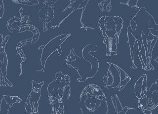 Фото - Обои Coordonne Random Kids - 559418>