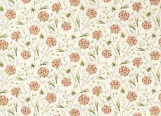 Фото - Ткани Zoffany Indienne Fabrics - 626449>