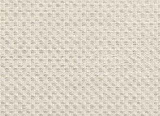 Фото - Ткани Clarke&Clarke Maximus - 296387>