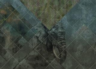 Фото - Обои KT Exclusive Vanilla Lime - 435181>