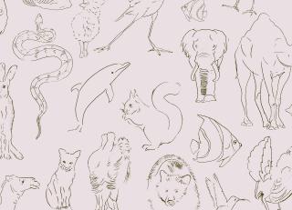 Фото - Обои Coordonne Random Kids - 559413>