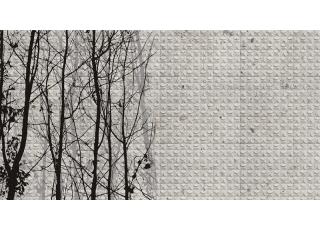 Фото - Обои Wall&Deco CODE 2015 WET SYSTEM - 462579>