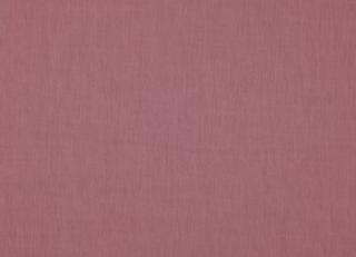 Фото - Ткани Дом CARO Sheerful - 533337>