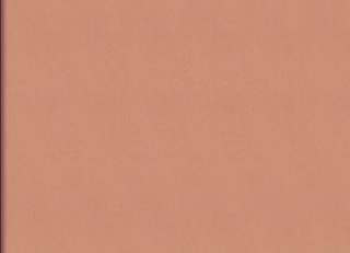 Фото - Обои Elitis Rayures jumelles - 560931>