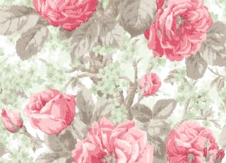 Фото - Обои Wallquest English Rose - 245287>