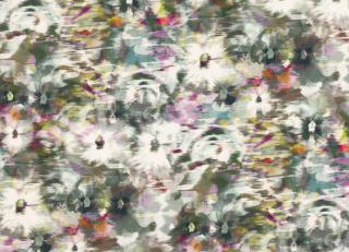 Фото - Ткани Black Edition Kansai Prints - 541435>