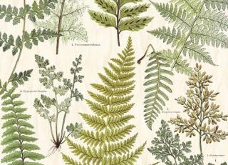 Фото - Обои Eijffinger Geonature - 351457>