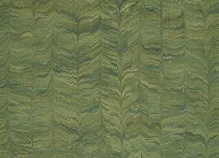 Фото - Обои Zoffany Endpapers Wallcoverings - 626478>