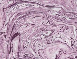 Фото - Ткани Clarke&Clarke Elementa - 379610>