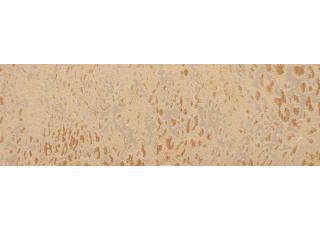 Фото - Обои Sangiorgio Malesia - 211248>