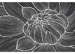 Фото - Ковры Pinton Modern carpets - 493977>