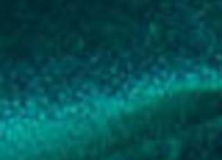 Фото - Ткани Zimmer + Rohde Infinity Plus - 619552>