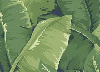 Фото - Обои Jaima Brown Charleseton Home - 242889>