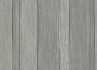 Фото - Обои Carl Robinson Edition 18 - 600451>